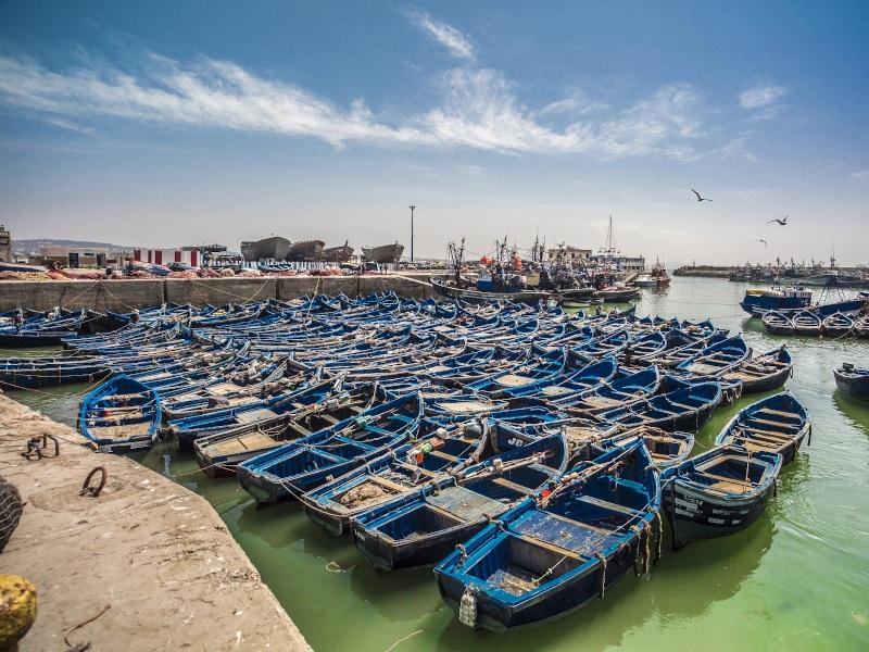 Best Essaouira Day Trip from Marrakech