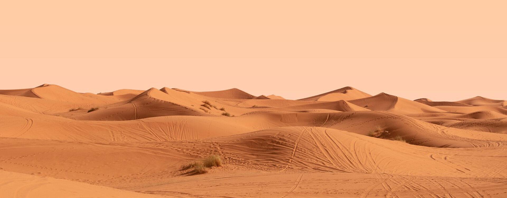 12 Days Tour from Tangier to Marrakech