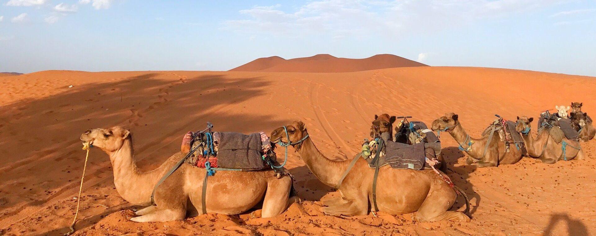 Best 4 Days Desert Tour from Marrakech to Merzouga Dunes