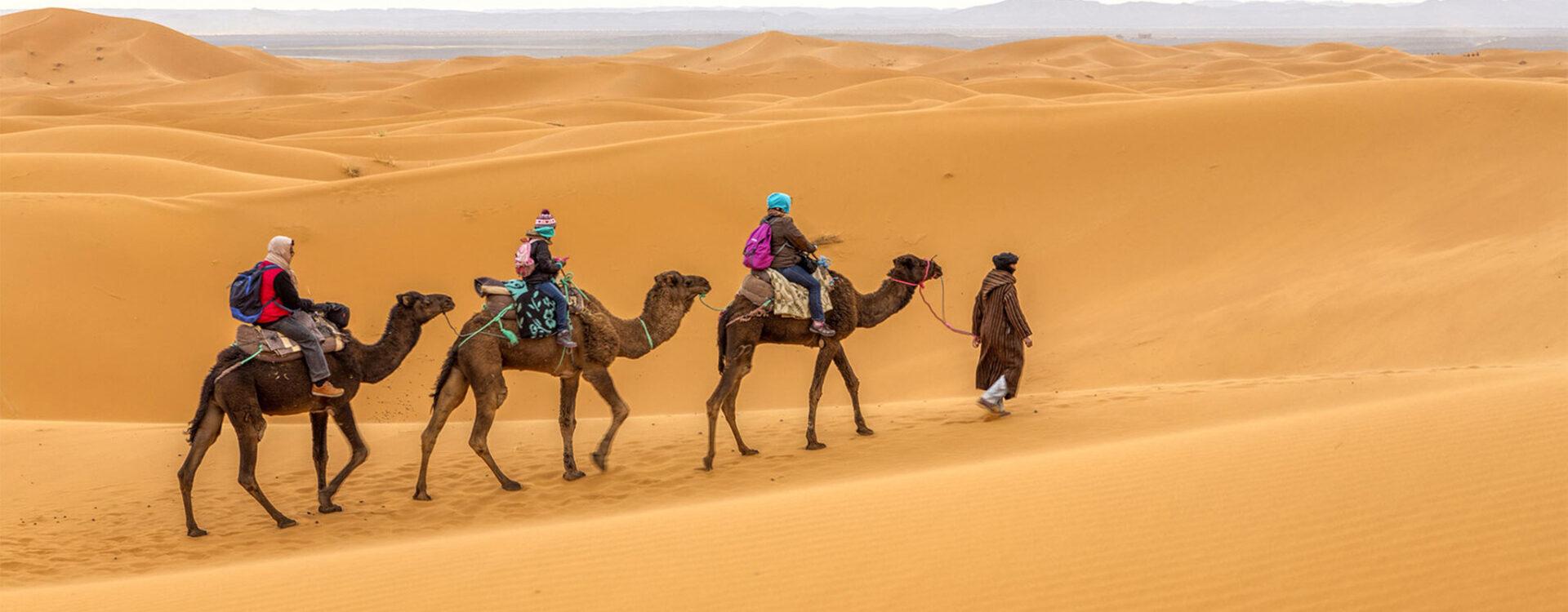Camel Trekking in Merzouga