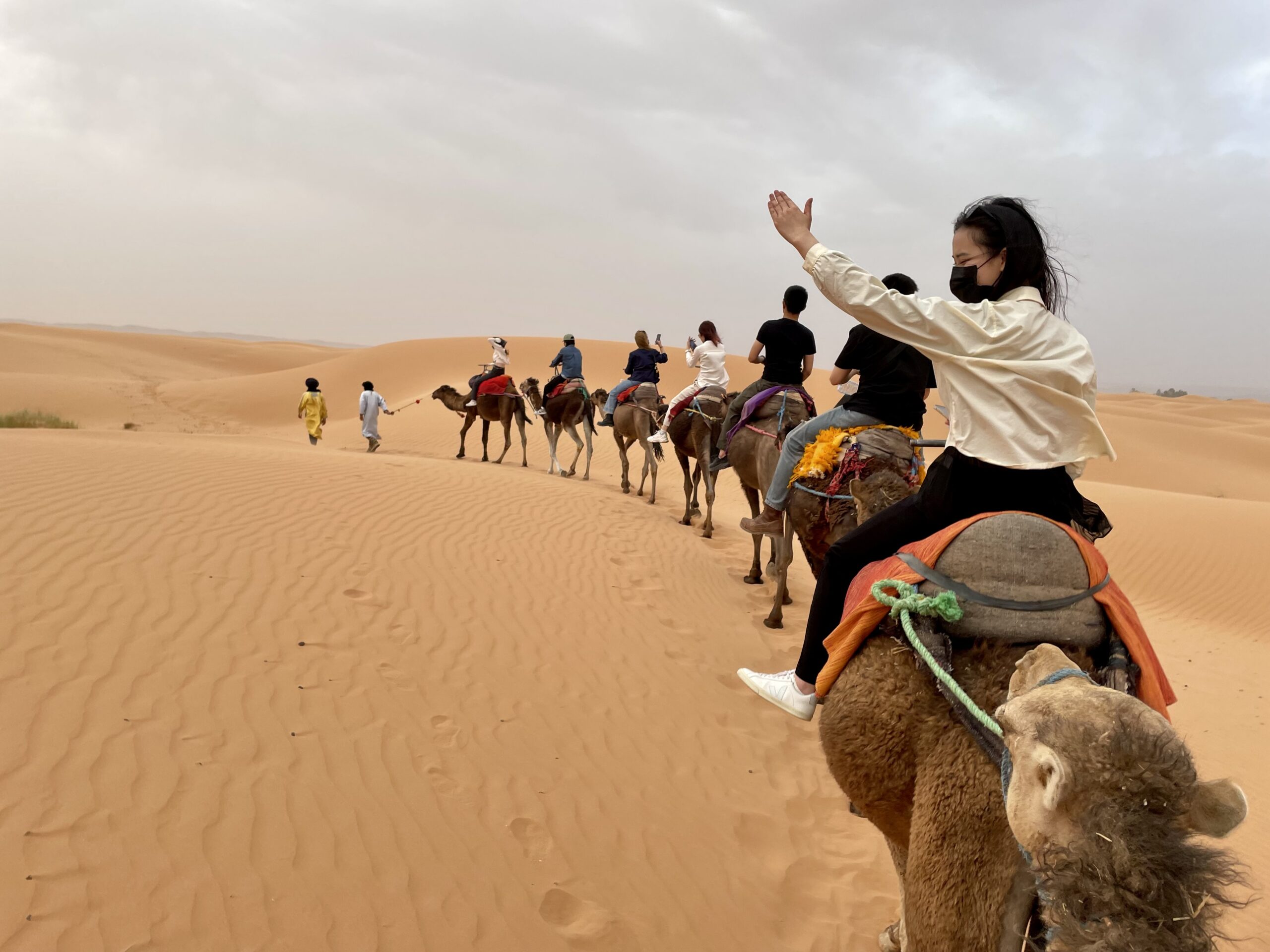 Shared Group Tours in Morocco