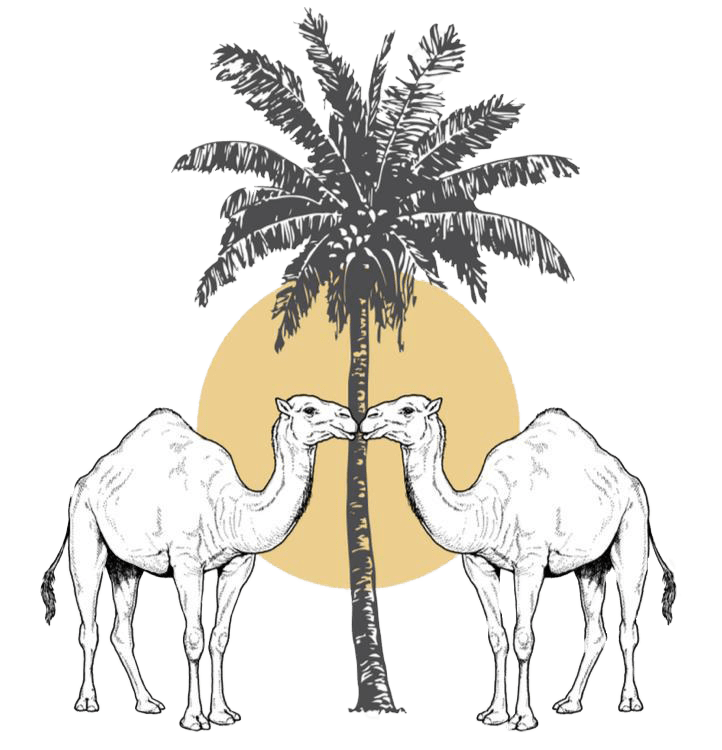 Tours in Morocco - Morocco Desert Tours & Excursions