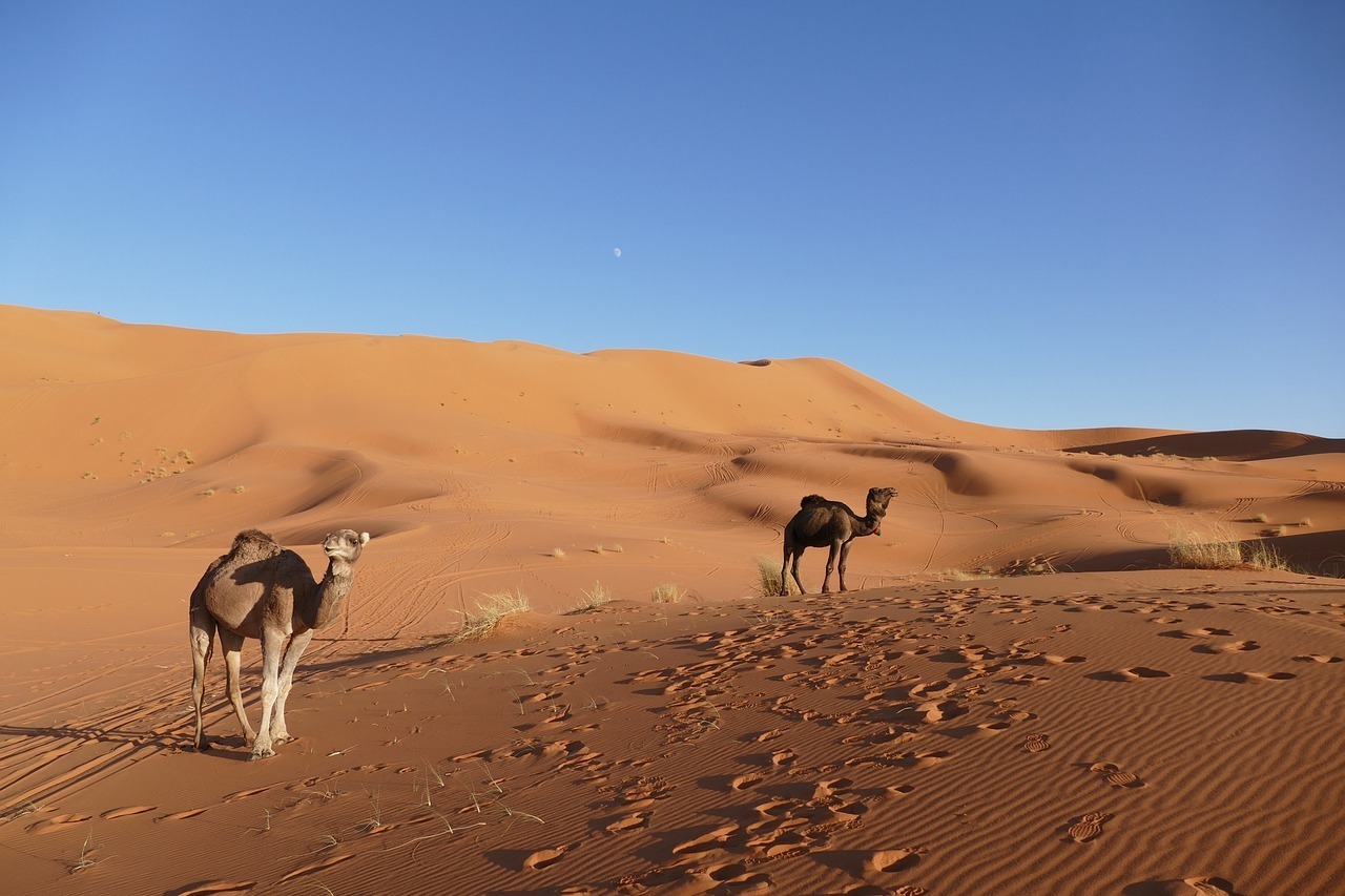 Custom Morocco Tours