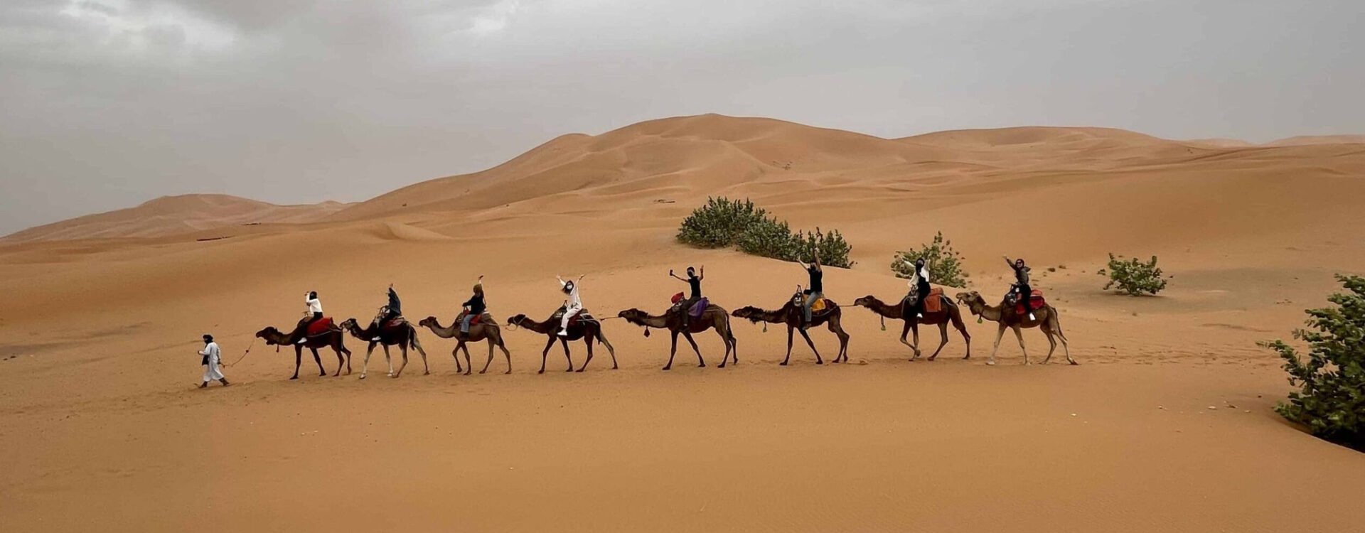 New year’s eve in Morocco - Merzouga & Marrakech