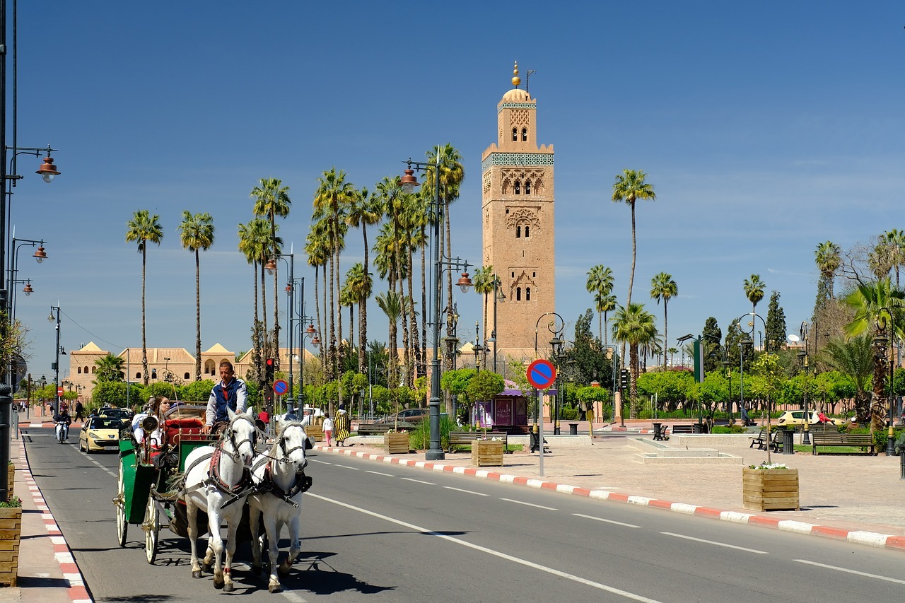 Best Activities to Do in Marrakech
