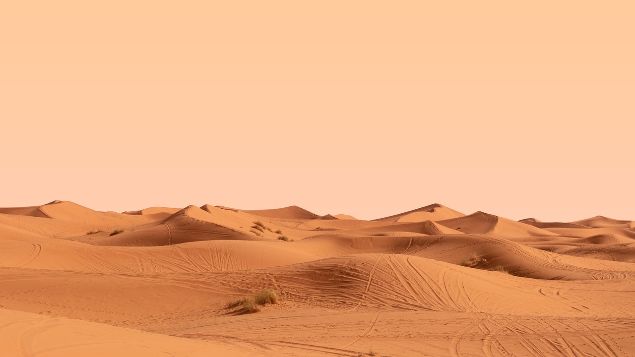 Best Things to Do in Merzouga Desert