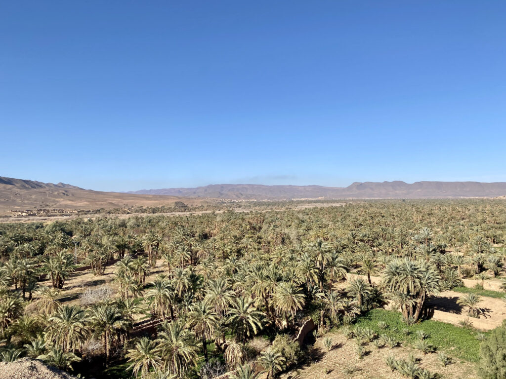 What to see in Ziz Valley & Tafilalt