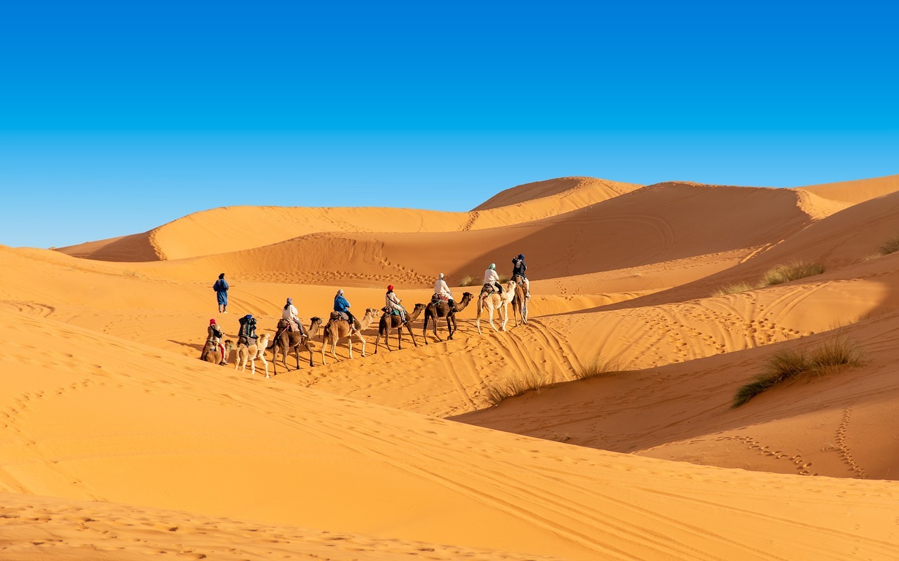 Best Morocco Tours from Fes