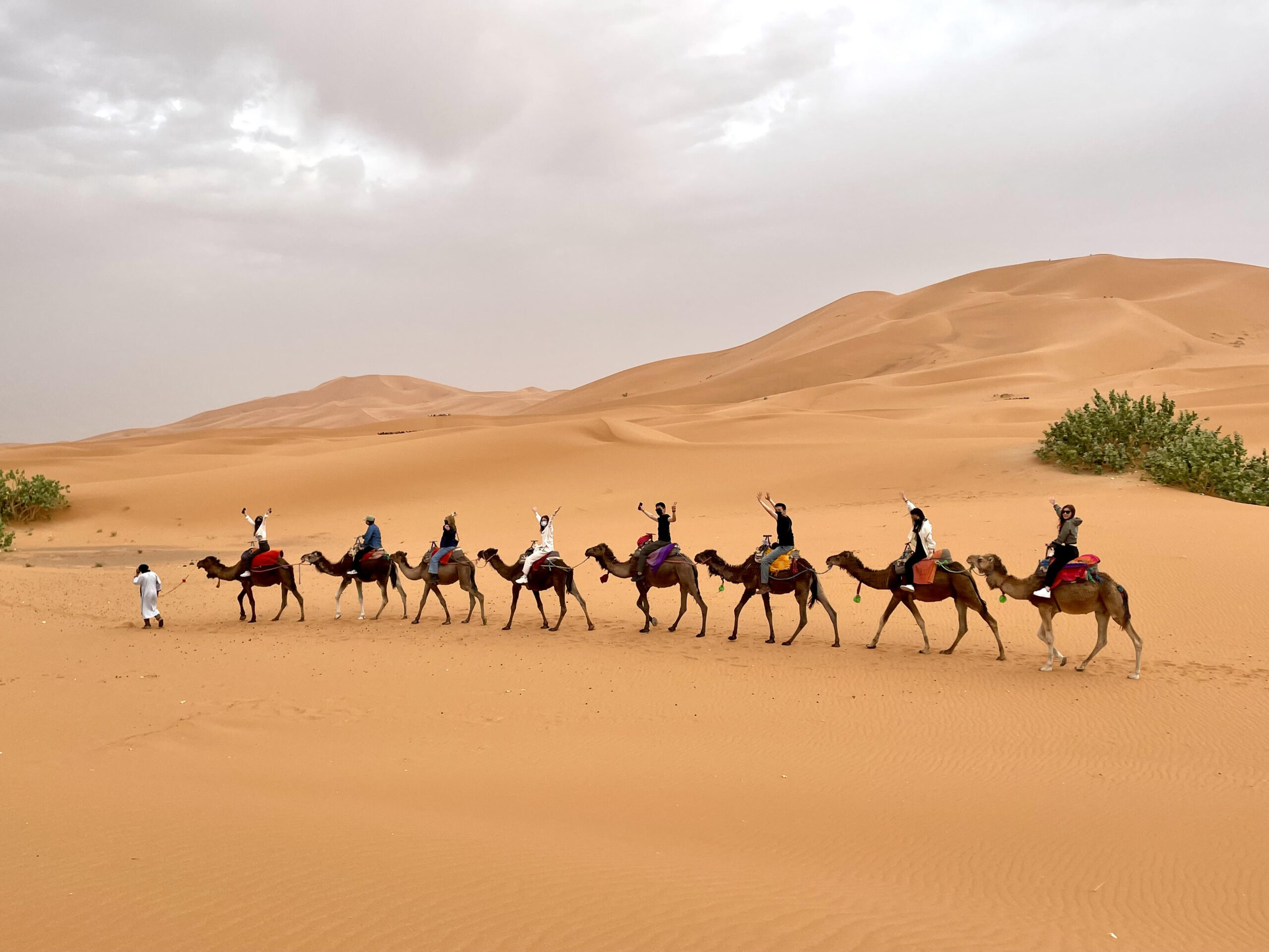 Which Desert to Visit in Morocco: Merzouga or Zagora?