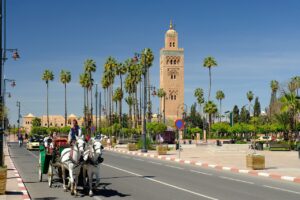 Best Things to Do in Marrakech