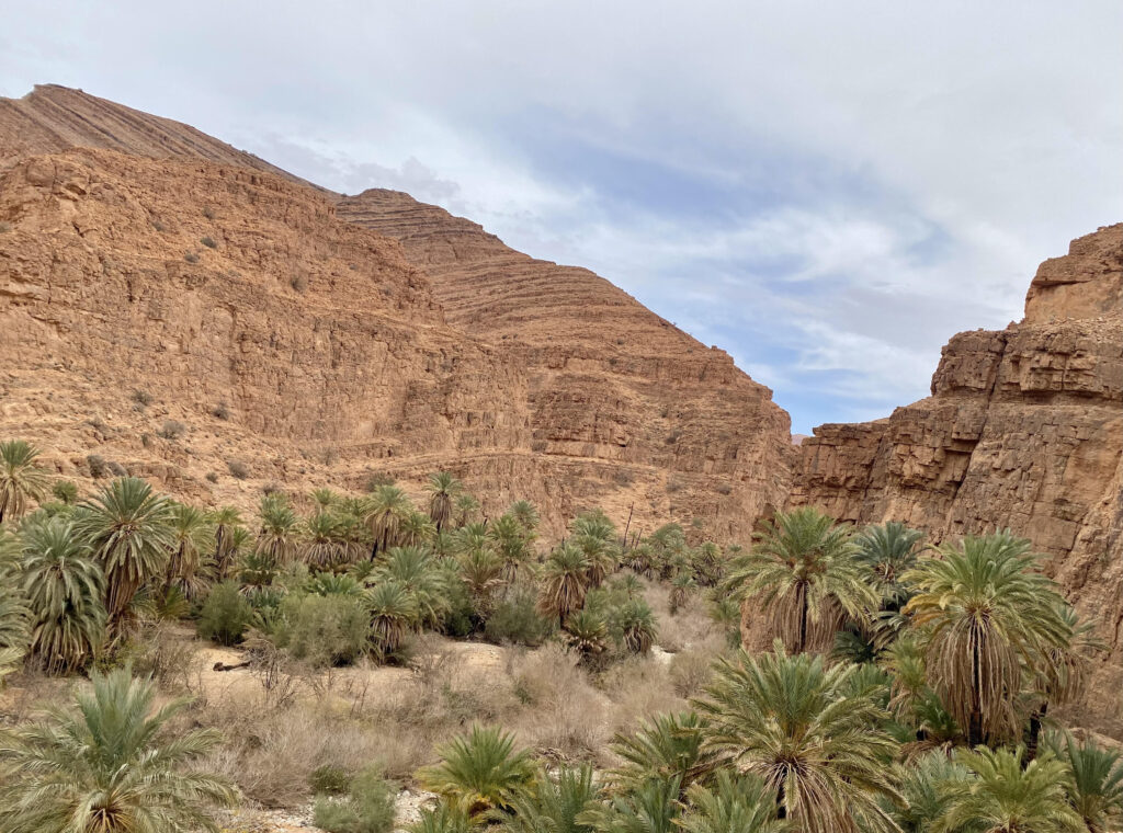 Best Things to Do in Ouarzazate