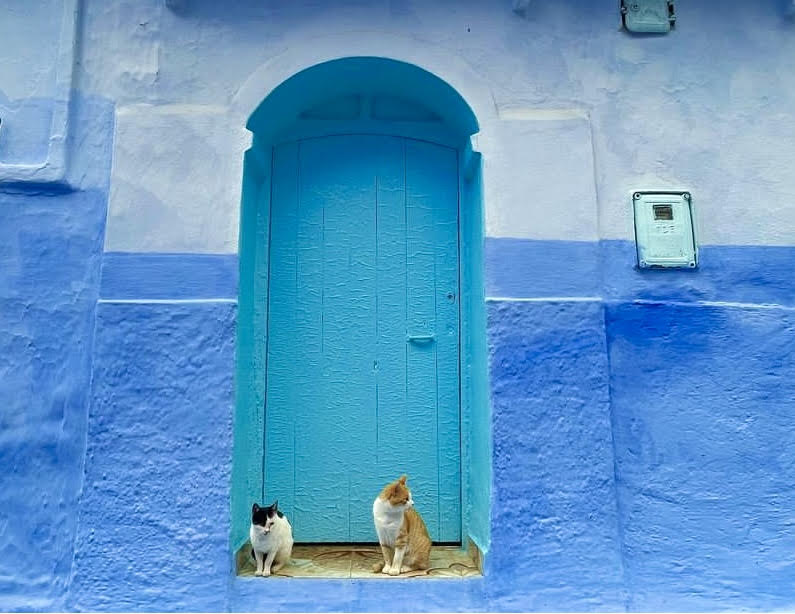Best Things to Do in Chefchaouen