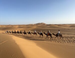 Morocco Tour Packages from Netherlands