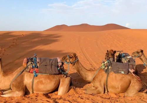 Best 4 Days Desert Tour from Marrakech to Merzouga Dunes