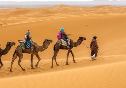 Camel Trekking in Merzouga