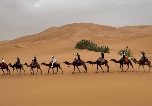 New year’s eve in Morocco - Merzouga & Marrakech